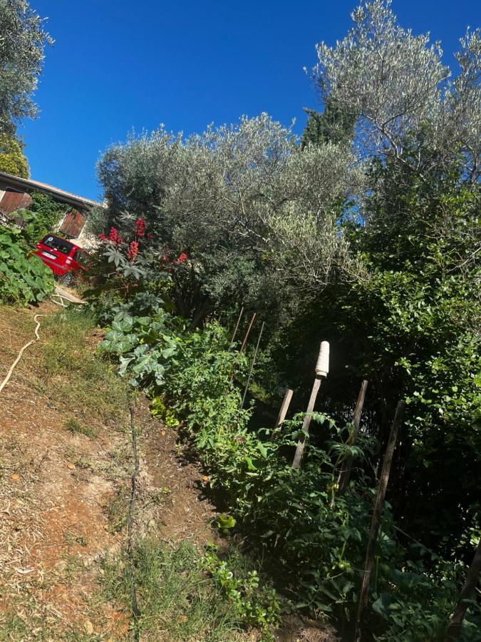 Le Mazet De Choubouloute Bed & Breakfast Saint-Gilles  Exterior photo
